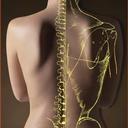 Chiropractor5