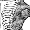 Chiropractor7