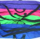 Baton Bags & Cases
