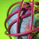 Search Engine Optimization