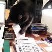Accountant Spokane