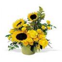 Baltimore-Flower-Delivery-2