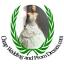 wedding dresses, bridal gowns, prom dresses, bridesmaid dresses, wedding go