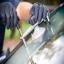 Call now for your free auto glass quote now!!