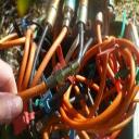 Charter Spectrum