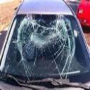 Call now for your free auto glass quote now!!