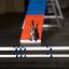 Dog Agility