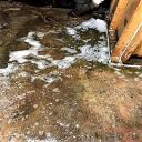 Sewage Leak Elmhurst