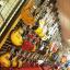 Guitar Selection Ottawa