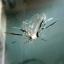 Call now for your free auto glass quote now!!