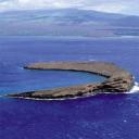 Molokini Snorkeling