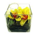 Orchids Cubed