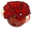 Rhapsody in Red Roses