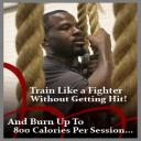 Mixed Martial Arts