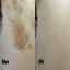 Before and after carpet stain