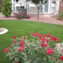 Adds Beauty to any Home