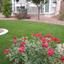 Adds Beauty to any Home