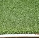 We use Putting Green with an ultra thick backing!