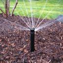 Rainbird Pop up