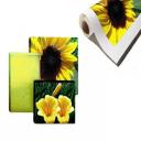 Canvas, posters and banners