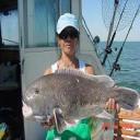 Catch Big Tautog on KeyDreams