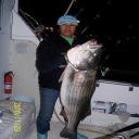 Big Fall Striped Bass