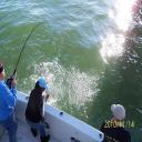 Catching Spring Striped Bass