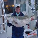 Big Striper in Chesapeake Bay