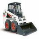 Bobcat