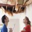 Water Damaged Ceiling