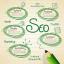 SEO Tech Pro Chicago IL