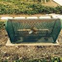 Backflow Cage Installation