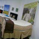 We offer adjustable beds
