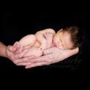 copyright www.flutterbyphotography.com