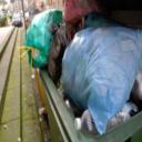 Yard Waste Recycling Colorado Springs, CO