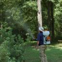 Rick Lamp treating a backyard for mosquitoes