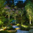Landscape Lighting