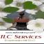 TLC Services