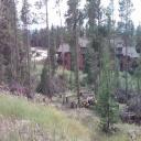 tree removal by spectrum home services of the colorado rockies
