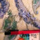sever moth damage