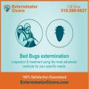 Bed Bugs Extermination