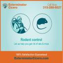 Rodent Control