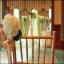 Chiavari Chair Rental Atlanta, Athens GA Wedding Chairs