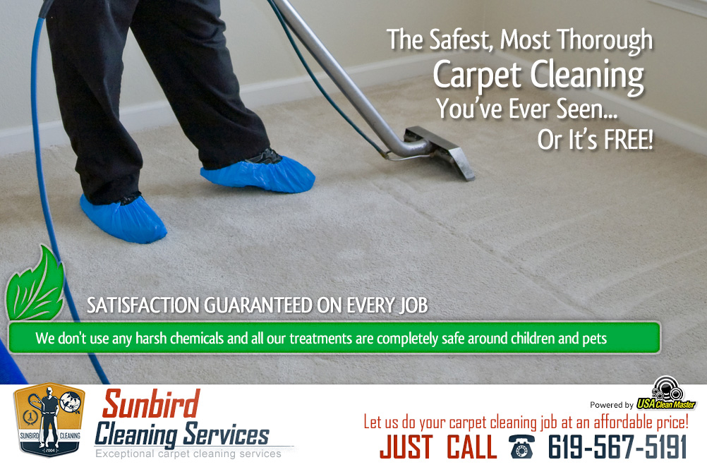 Carpet Cleaning