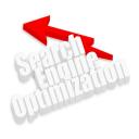 Organic SEO
