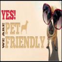 Pet Friendly Limo Service