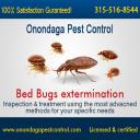 Bed Bugs