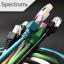 Spectrum Coos Bay