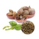 Triphala