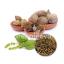 Triphala